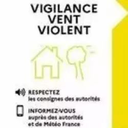 Vigilance vent violent
